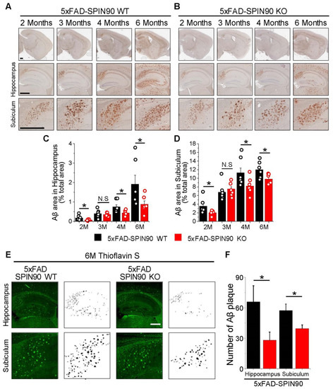 SPIN90 Deficiency Ameliorates Amyloid β Accumulation by Regulating APP Trafficking in AD Model Mice